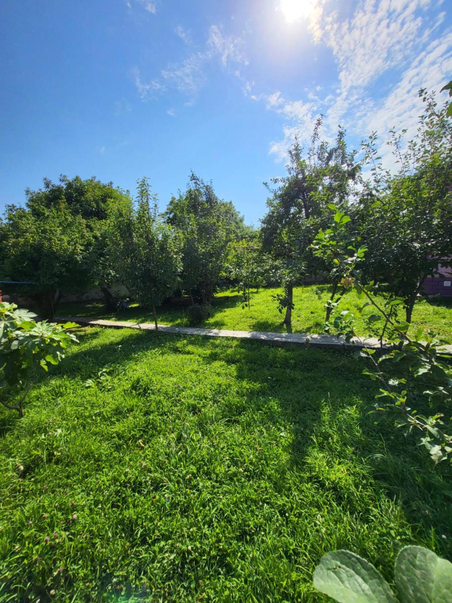 Gabala Garden Hostel Chambre photo